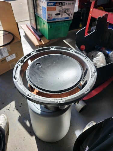 Artikelfoto(s) von einem verifizierten Käufer