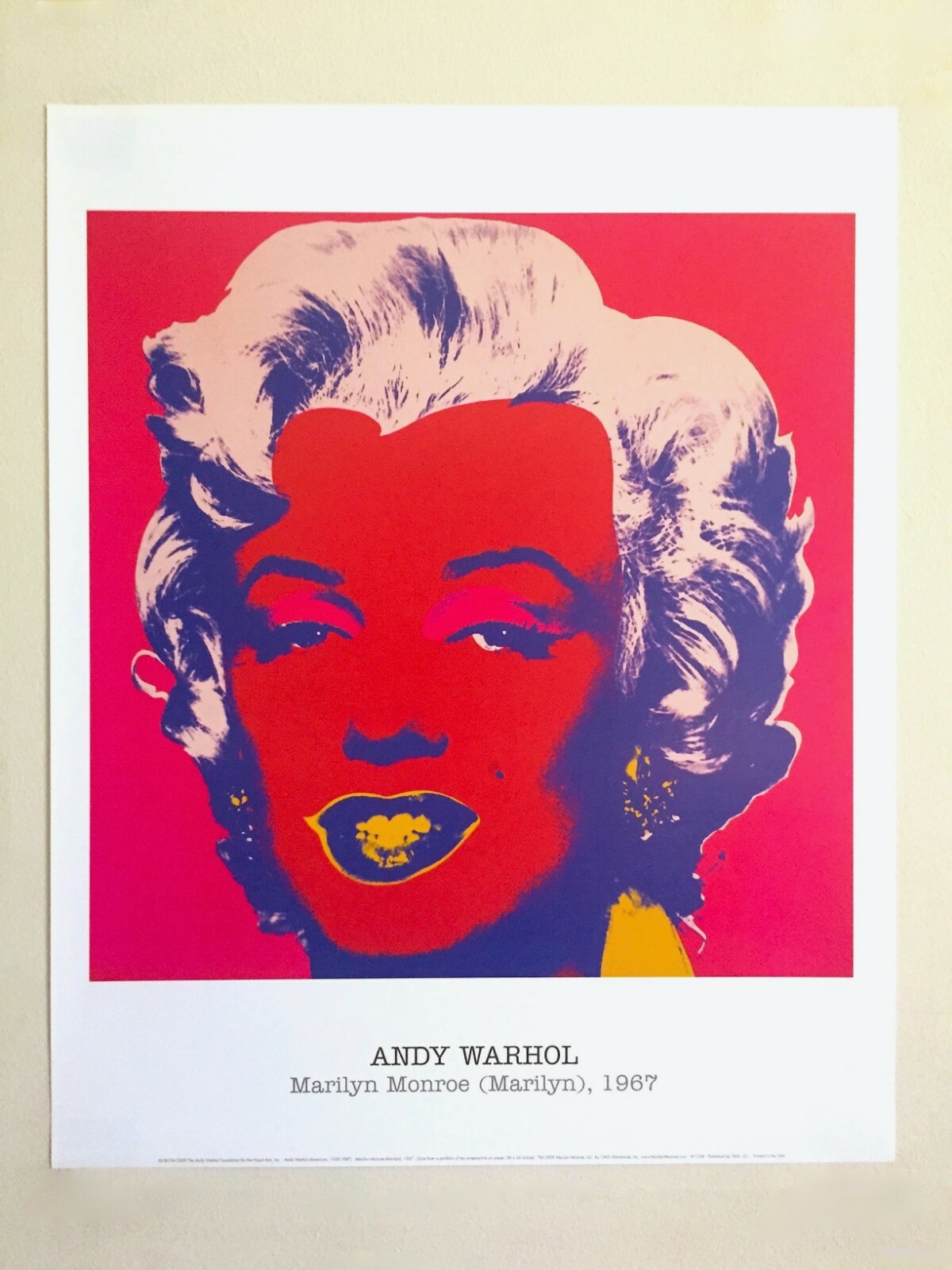 アート・デザイン・音楽 ANDY WARHOL'S EXPOSURES アート・デザイン・音楽 ANDY WARHOL'S EXPOSURES Andy Warhol's