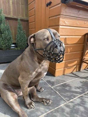 Fotos del artículo de un comprador verificado