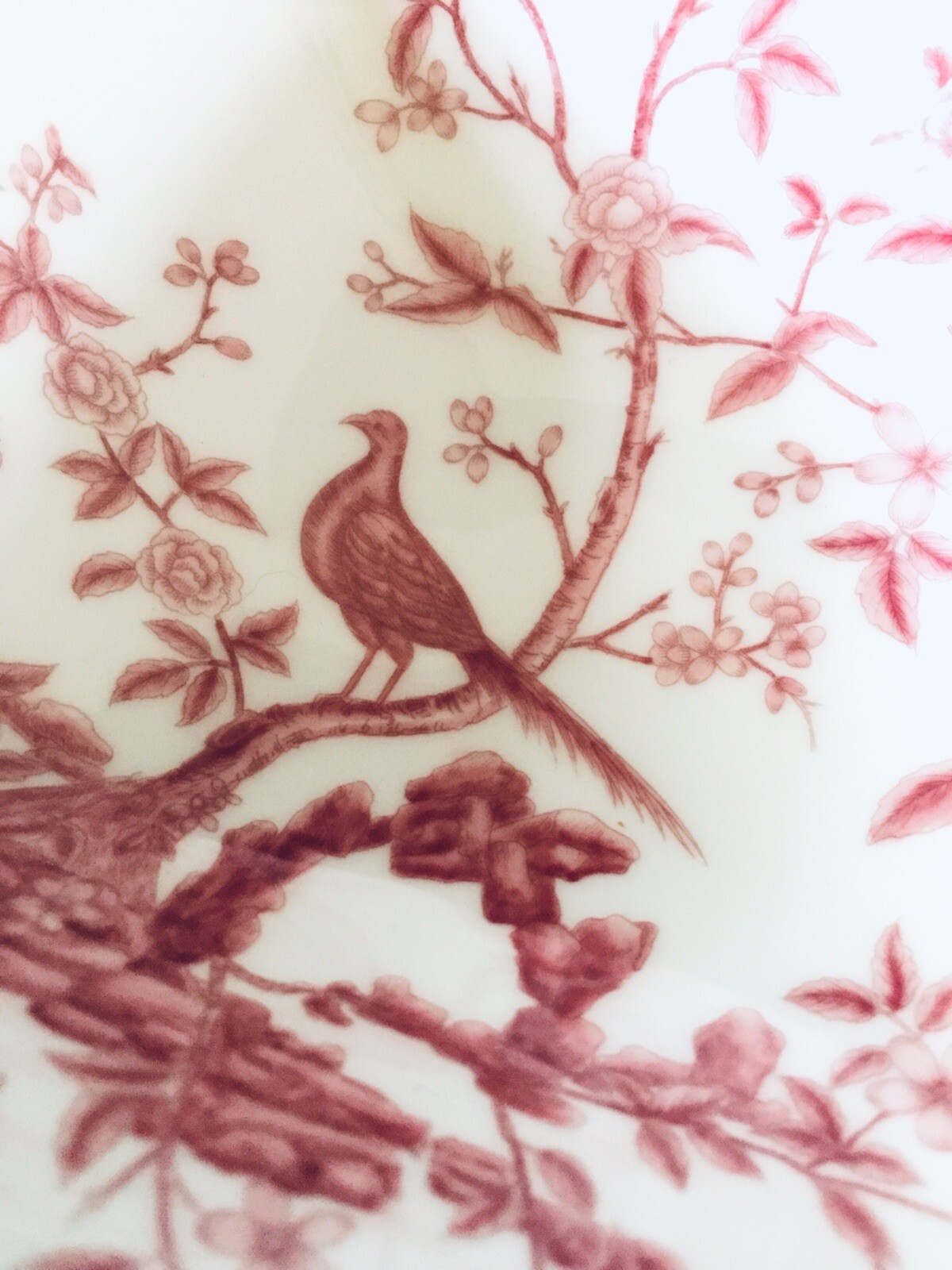 Asianera Bone China Small Decorative Serving Bowl Set/5 Red Floral Retired