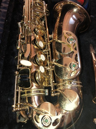 Earlham Professional Series II Alto Saxophone & Case