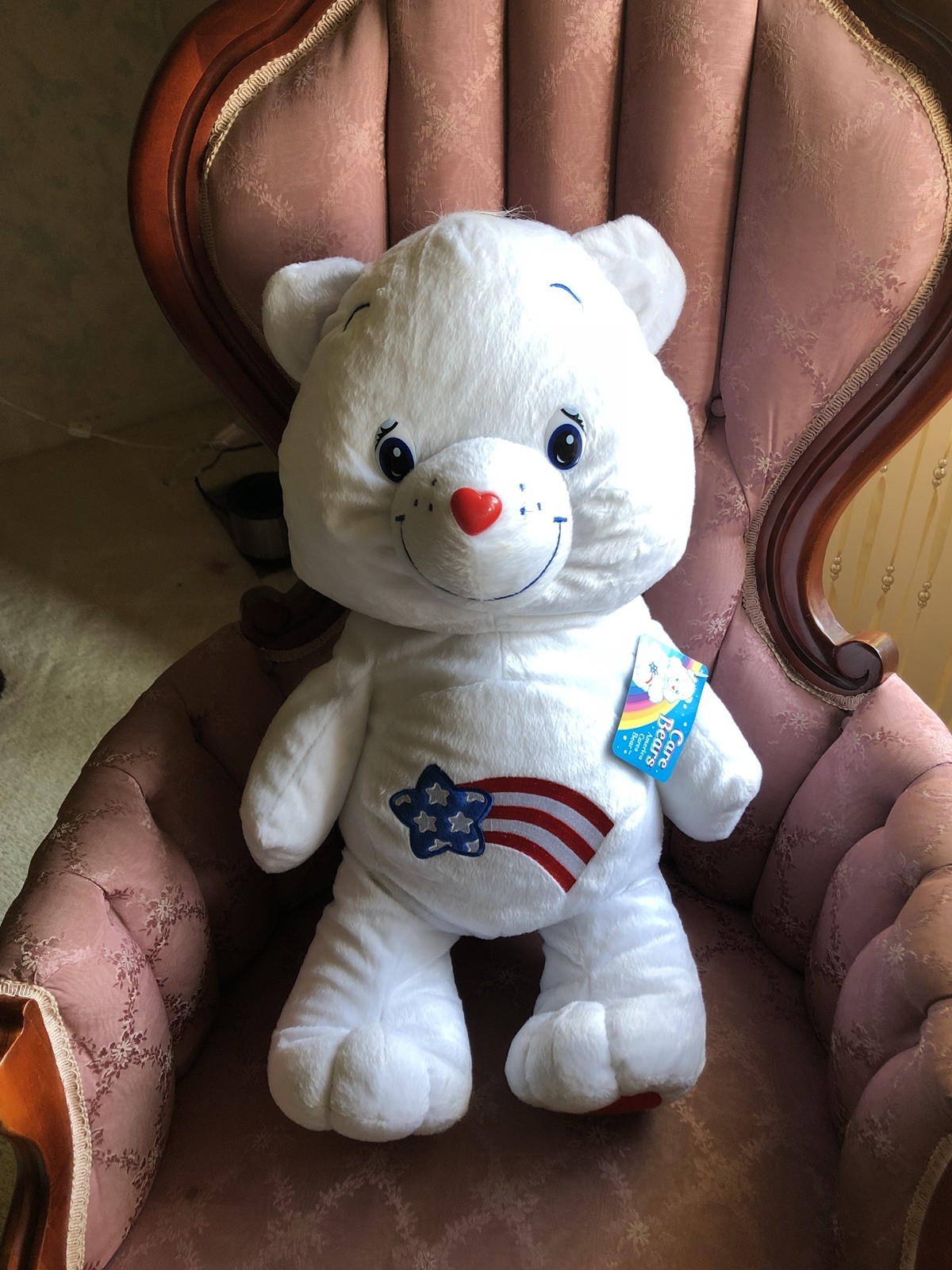 Care Bear America Cares Bear