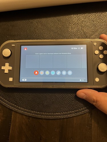 Nintendo Switch Lite グレー 本体 ACアダプター付き　美品 新品 (任天堂 Nintendo Switch Lite グレー )4902370542929
