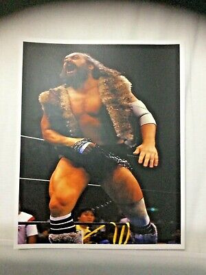 BRUISER BRODY wrestling full color 8x10 Photo in NJPW wwe wcw awa ecw 