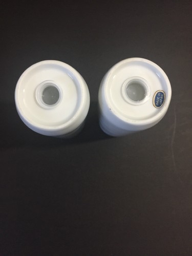 Abingdon Salt & Pepper Shaker Set China Floral With Silver Trim