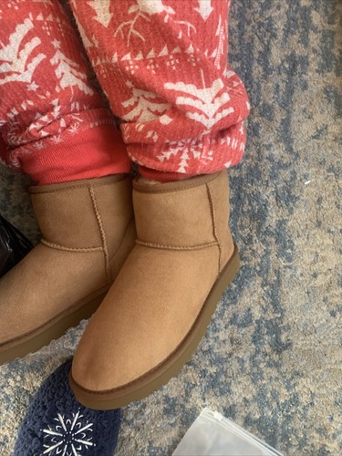 カオused美品UGG クラシック ミニ II 23cm chestnut New in Box Authentic UGG Classic Mini II Women's Fashion