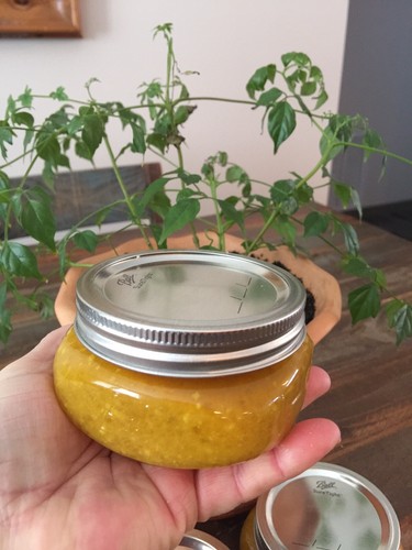 CBD Pain Relief Freeze Body Scrub Dead Sea Salt Sugar Scrub Essent. Oils Herbs