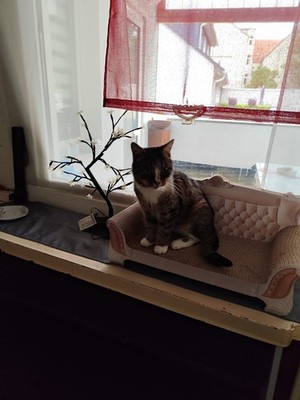 Artikelfoto(s) von einem verifizierten Käufer