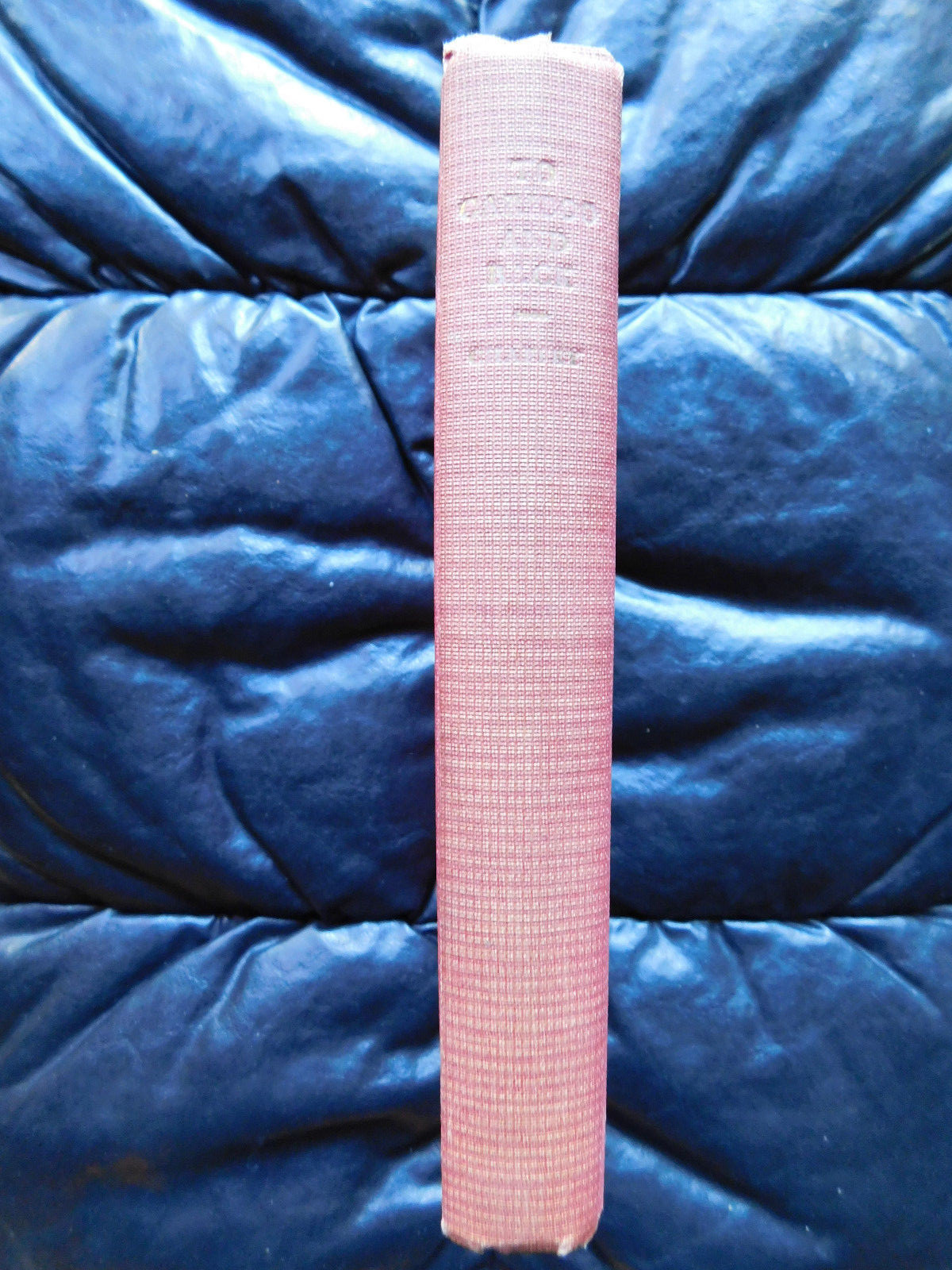 To Cariboo and Back ~ M. Ella Chaffey, Vintage Children & Young Adult, Hardcover