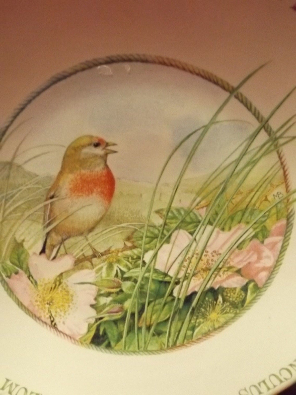 Collectible Spring plate