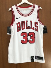 scottie pippen jersey nike
