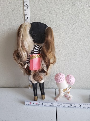 Vintage Pinkie Cooper Amd The Jet Set Pets Pinkie In Paris Doll And Pet