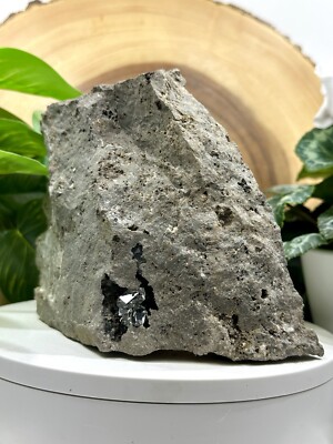 Herkimer Diamond Water Clear Crystal Cluster in Dolomite Matrix - Middleville NY