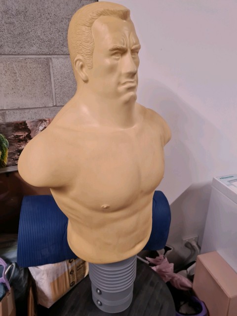 rock boxing training aid