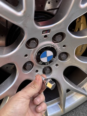 Artikelfoto(s) von einem verifizierten Käufer