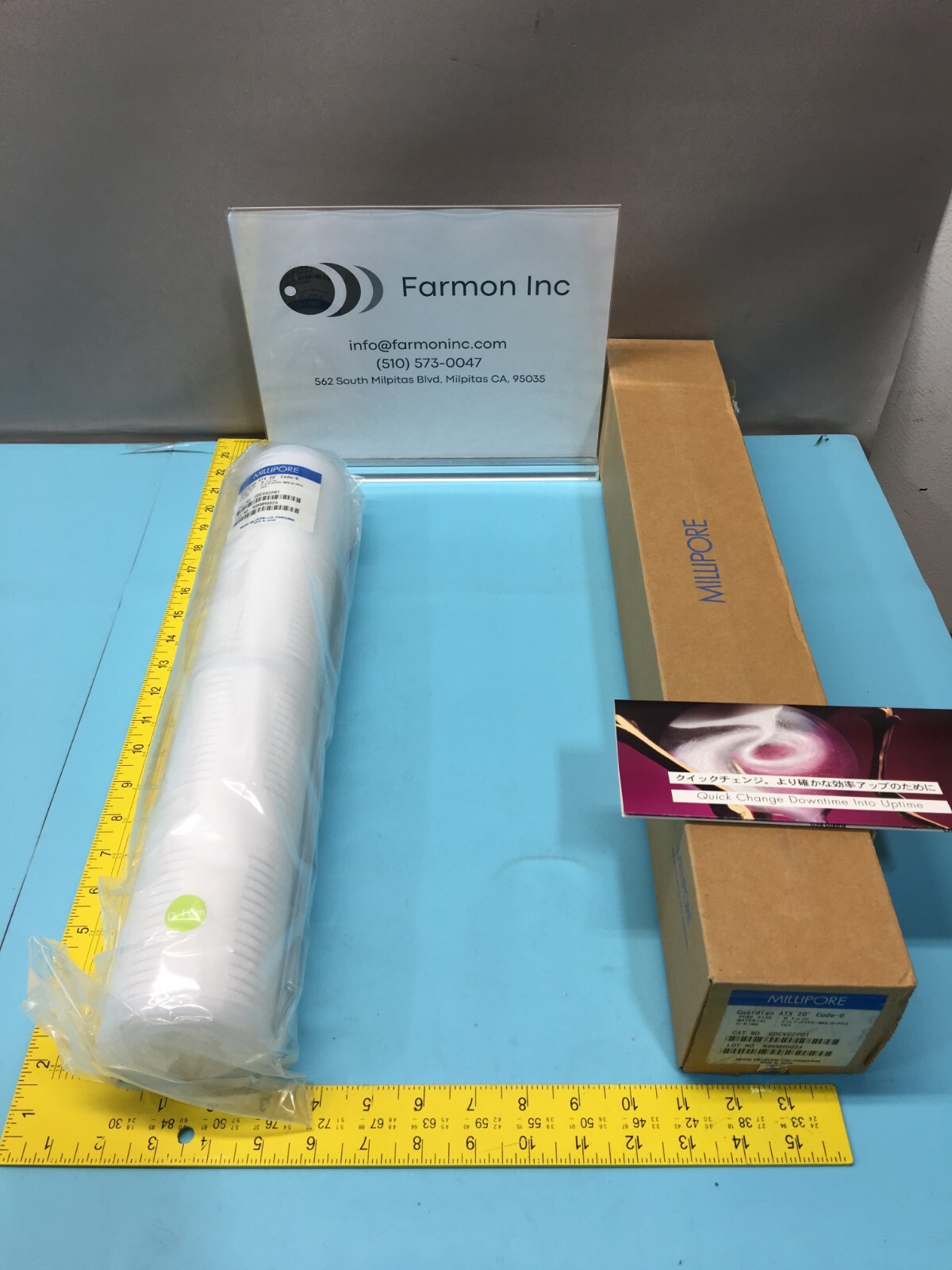 MILLIPORE GDCV02P01 GUARDIAN ATX 20" CODE-0 0.1um FILTER, 156304