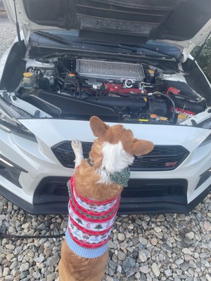 image 2 of engine
