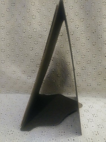 Vintage Antique Black and White Studio Photo Pretty Woman With Fur Collar