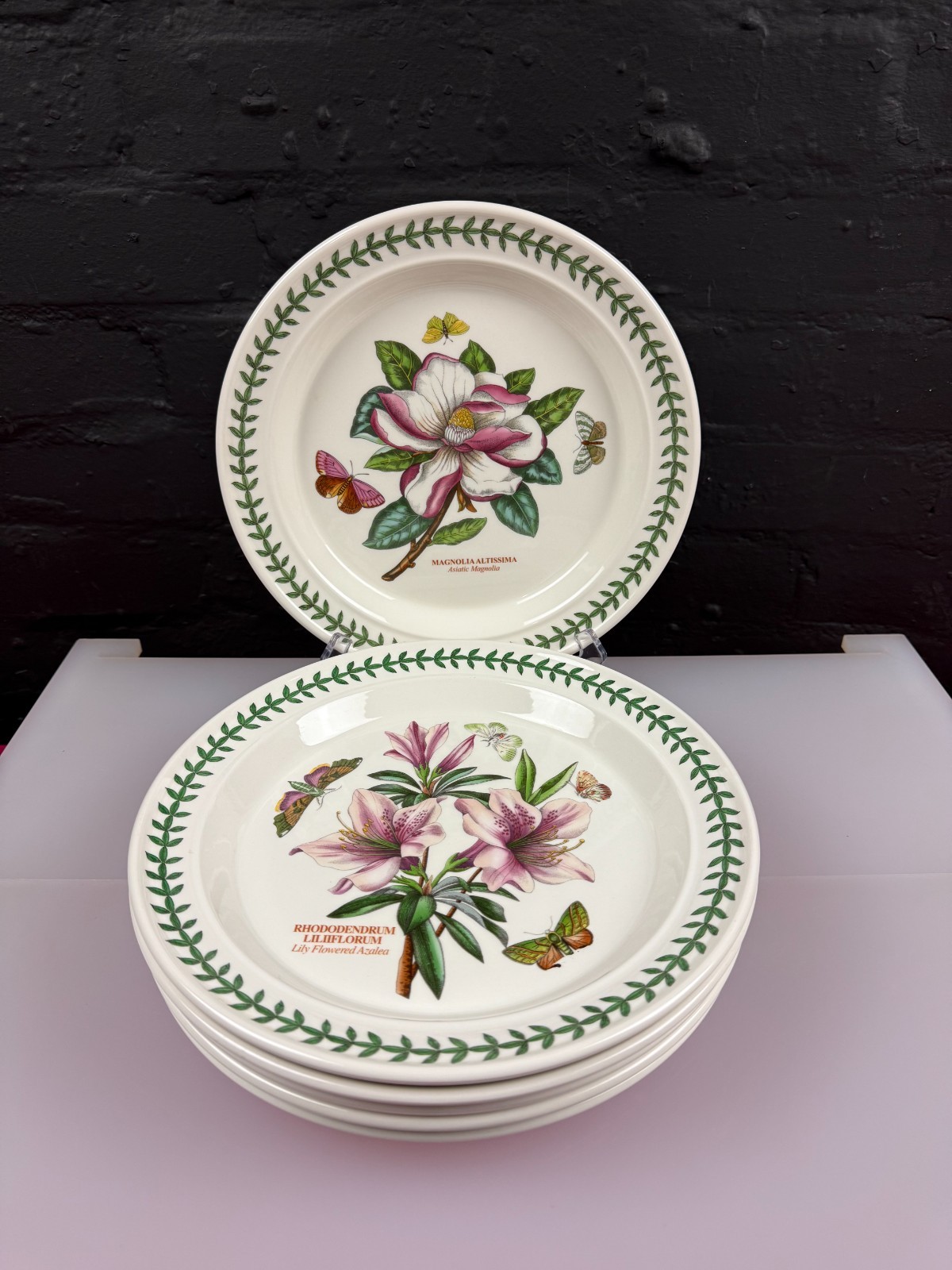 Portmeirion Botanic Garden Mixed Dinner Plates 10.5" Wide Set of 6