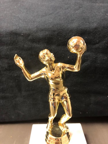 Volleyball Trophy Female Only