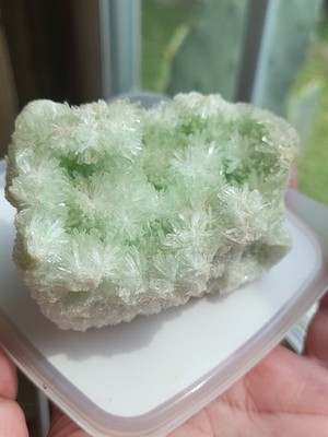 Fotos del artículo de un comprador verificado