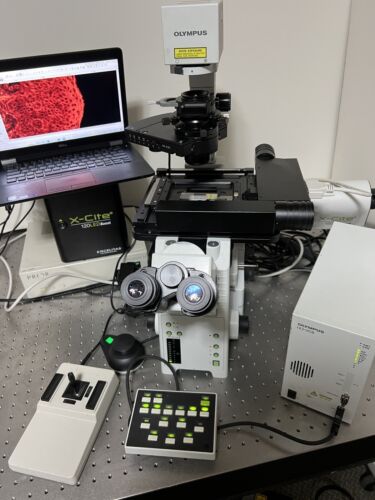 Olympus IX81 Inverted Scanning Fluorescence DIC Microscope X Olympus IX81 Inverted Scanning Fluorescence DIC Microscope X