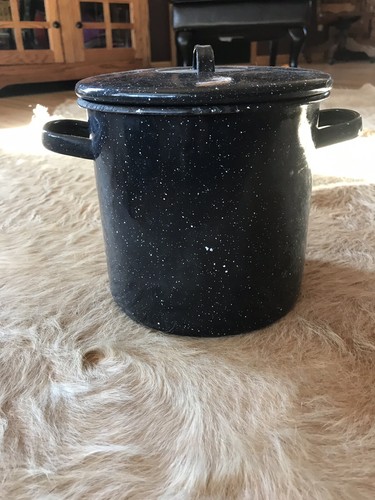 Vintage Blue Speckle Graniteware 8 Quart Stock Pot with Lid