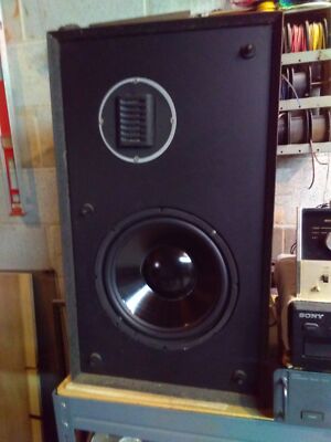 Foto dell'oggetto di un acquirente verificato