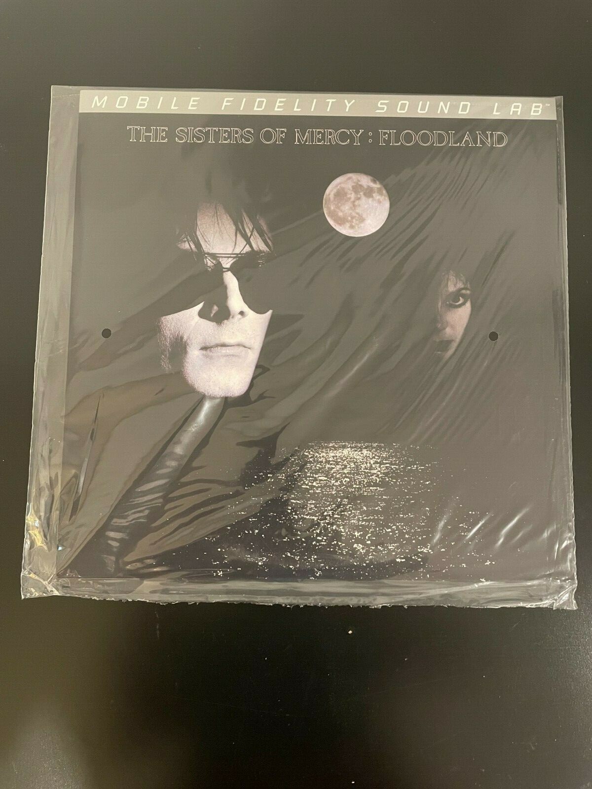 英、欧LP Sisters Of Mercy Floodland 0825646077038 Warner Music Group,  /00260 Amazon.com: Floodland: CDs & Vinyl