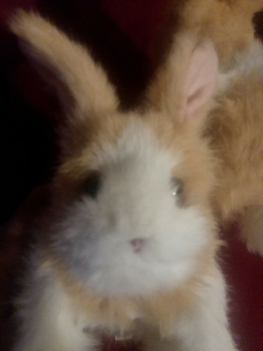 Lot of 2Hasbro FurReal Friends Hop 'N Cuddle BUNNY RABBIT Tan White