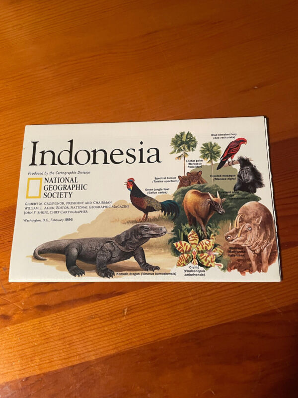 Vintage Indonesia National Geographic Map *GOOD CONDITION*
