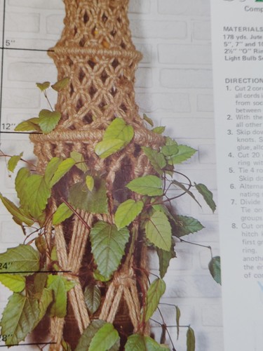 Wall Pot Hangers Jewelry Owl Mad about Macrame Hazel Pearson Handicrafts VTG 70s