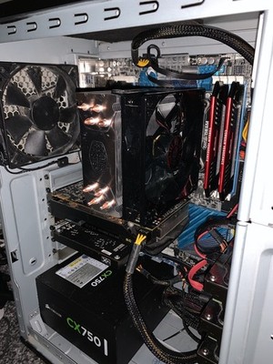 Fotos del artículo de un comprador verificado