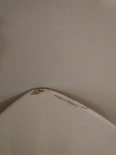 Zap Skimers Skimboard 39x21