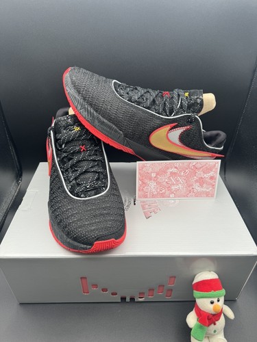 NIKE レブロン20 マイアミヒート Nike Lebron 20 EP 