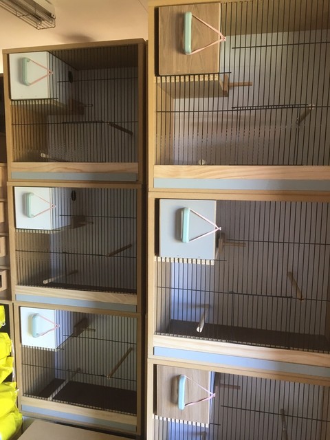 budgie breeding cabinets for sale