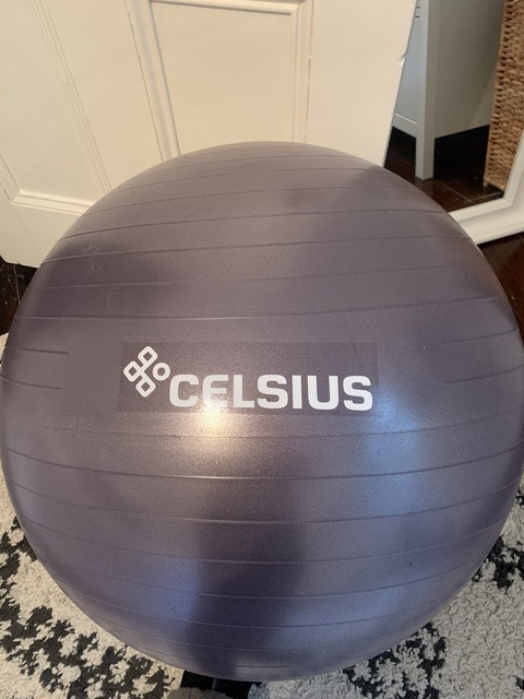rebel sport bosu ball