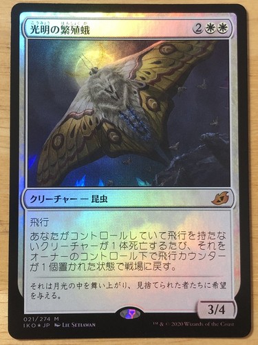 MTG ホリデーギフト Last-Minute Chopping foil 英語 FOIL Luminous Broodmoth Japanese Ikoria Lair of Behemoths