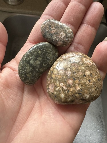 Polished Porphyry Ocean Rocks Found West Coast Oregon.
