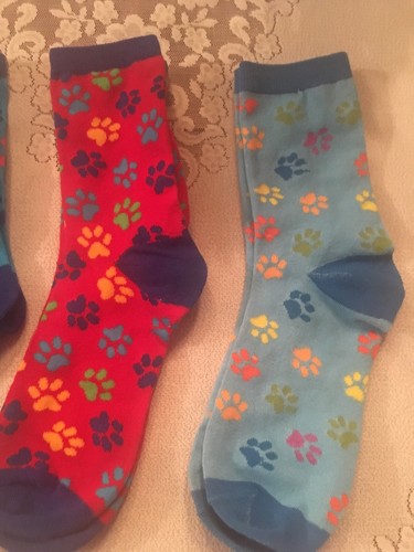 Lot of 4 Pairs of Colorful Size 9-11 Socks