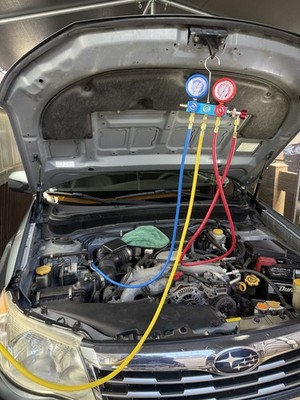 Fotos del artículo de un comprador verificado