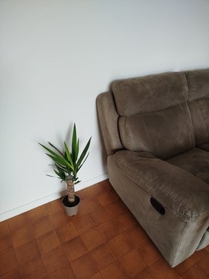 Foto dell'oggetto di un acquirente verificato