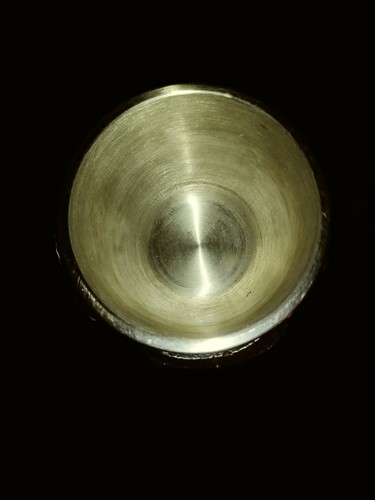 Gothic Vampire Scull Goblet