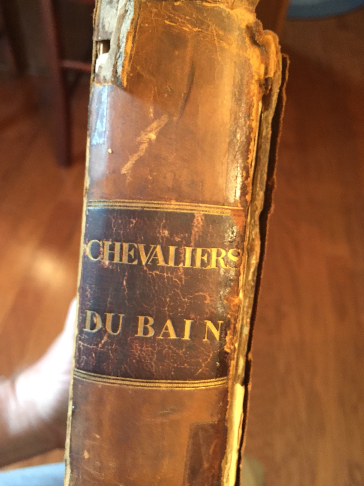 1725 Folio 150 Engravings - Arms Of Knights Of Order Of The Bath by J. Sympson