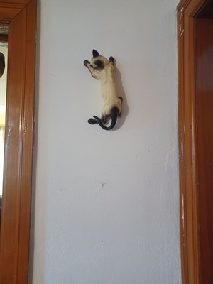 Foto dell'oggetto di un acquirente verificato