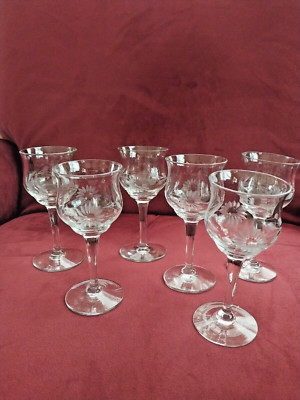 5 + 1 Aperitif floral dot etched design glasses. 4 1/4'' H -2 1/2'' dia- 3 Oz cap.