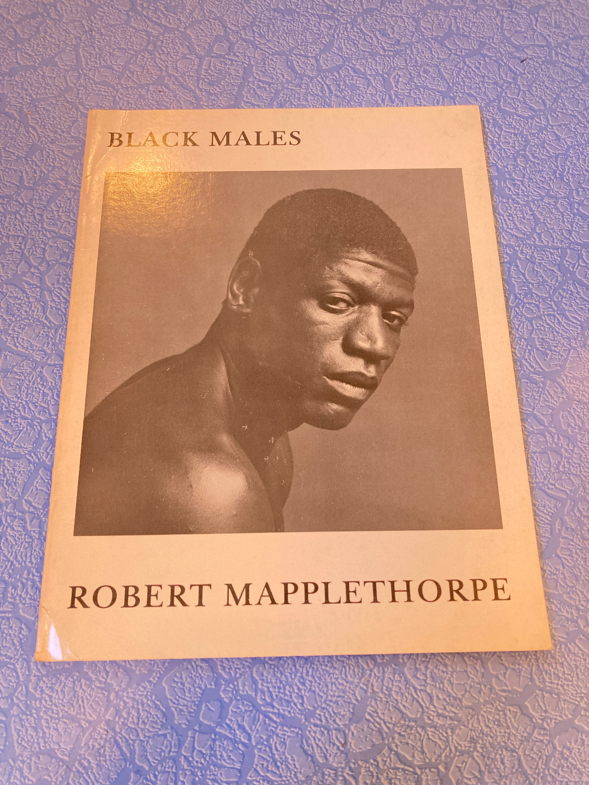【はむ様】Robert Mapplethorpe ポスター Orchids,1989/ロバート・メープルソープ 【Robert Mapplethorpe