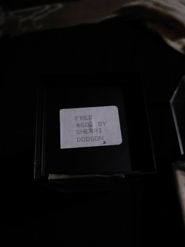 World of Miniature Bears 