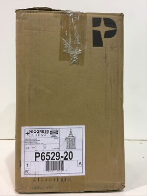 Progress Lighting P6529-20 Edition 1Light Outdoor Antique Bronze Hanging Lantern