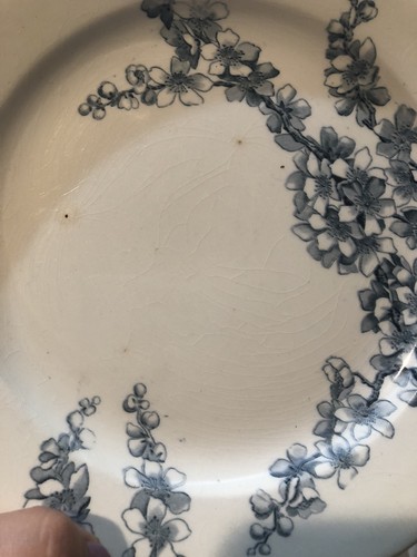 antique victorian George Jones And Sons Plate Peach Blow Pattern 1840 9”D Blue